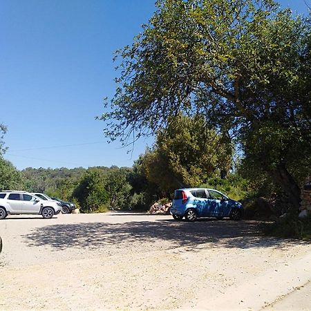 Querenca Quinta Dos Valados Bed & Breakfast エクステリア 写真