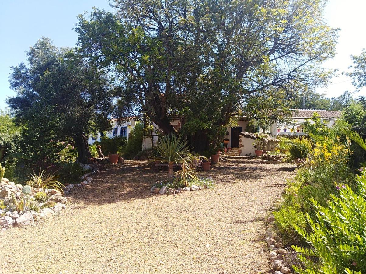 Querenca Quinta Dos Valados Bed & Breakfast エクステリア 写真
